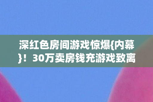 30万卖房钱充游戏致离婚图片