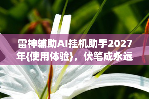 雷神辅助AI挂机助手2027年图片