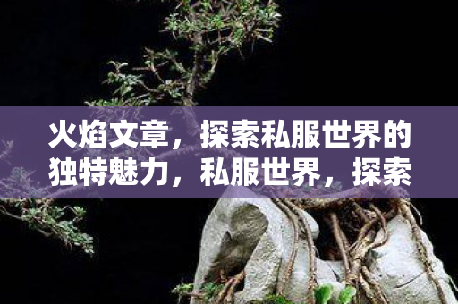 探索私服世界的独特魅力图片