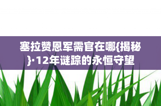 12年谜踪的永恒守望图片