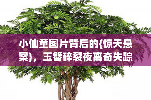 小仙童图片背后的{惊天悬案}，玉簪碎裂夜离奇失踪