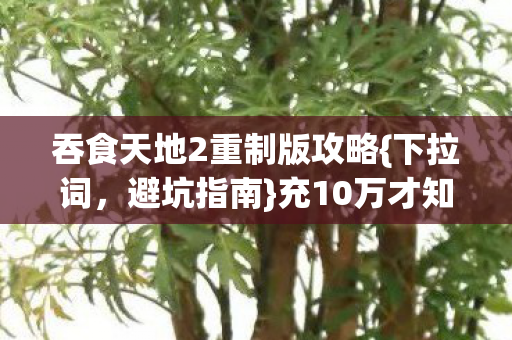 吞食天地2重制版攻略图片