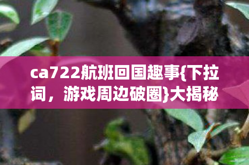 ca722航班回国趣事图片