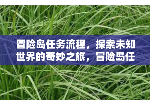 冒险岛任务流程,探索未知世界的奇妙之旅,冒险岛任务流程,探索未知世界的奇妙之旅 冒险岛任务流程,探索未知世界的奇妙之旅,冒险岛任务流程,探索未知世界的奇妙之旅