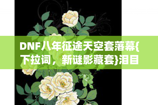 DNF八年征途天空套落幕图片