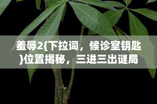三进三出谜局真相惊人图片