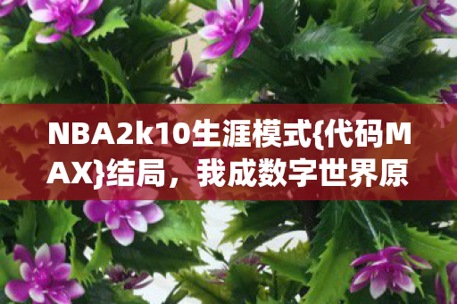 NBA2k10生涯模式图片