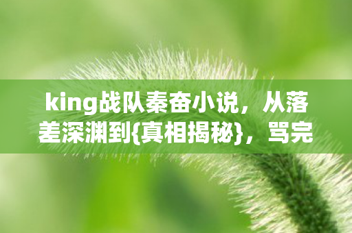 king战队秦奋小说图片