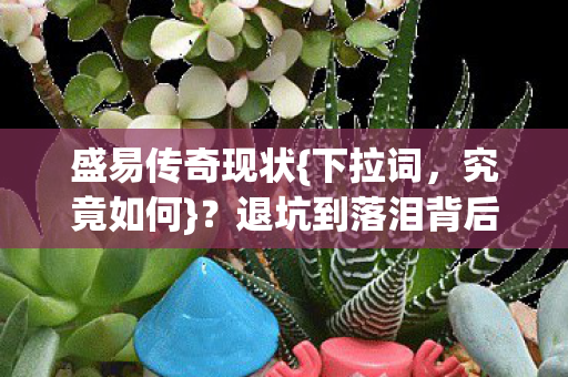 退坑到落泪背后的真相图片