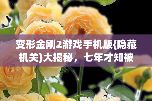 变形金刚2游戏手机版图片
