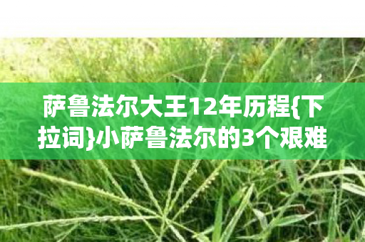 小萨鲁法尔的3个艰难抉择图片