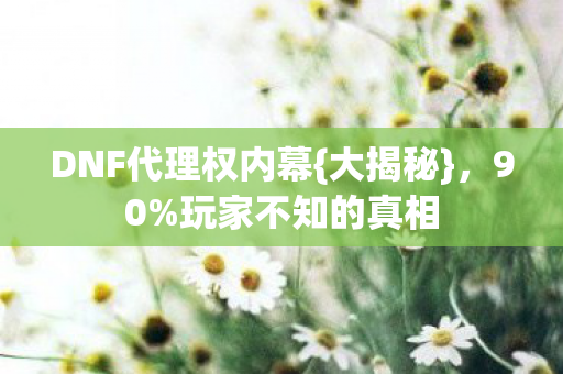 DNF代理权内幕图片