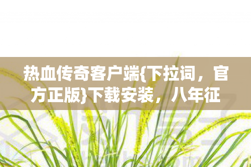 热血传奇客户端图片