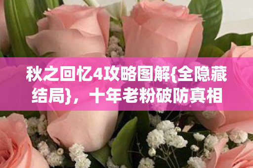 十年老粉破防真相揭秘图片