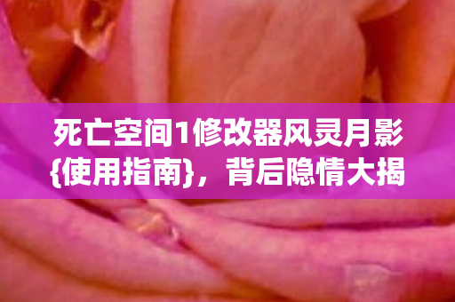 死亡空间1修改器风灵月影图片