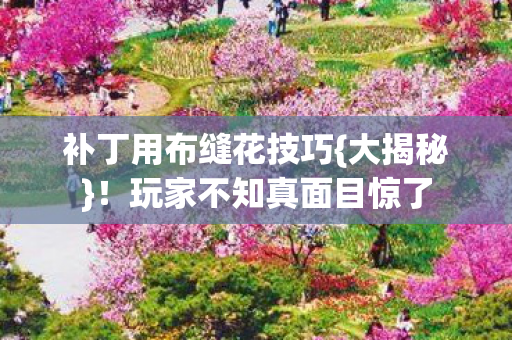 补丁用布缝花技巧{大揭秘}!玩家不知真面目惊了 补丁用布缝花技巧{大揭秘}!玩家不知真面目惊了