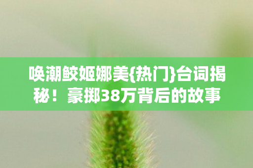 豪掷38万背后的故事图片