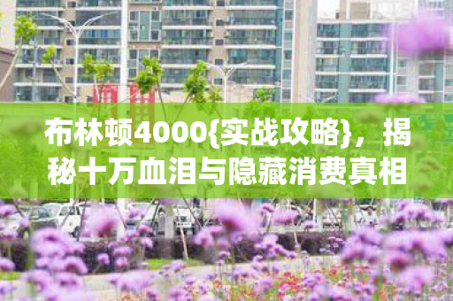 揭秘十万血泪与隐藏消费真相图片