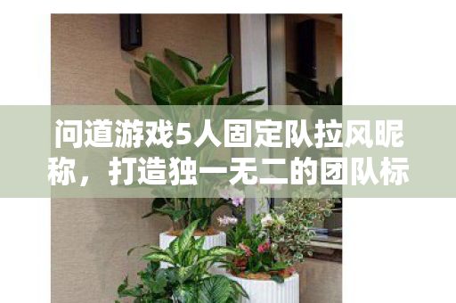 问道游戏5人固定队拉风昵称,打造独一无二的团队标识,问道游戏五人固定队炫酷昵称,塑造专属团队风采 问道游戏5人固定队拉风昵称,打造独一无二的团队标识,问道游戏五人固定队炫酷昵称,塑造专属团队风采