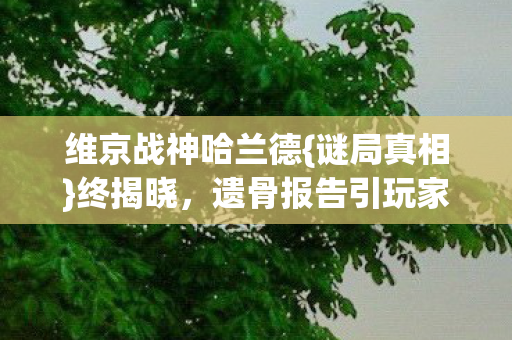 遗骨报告引玩家泪目图片