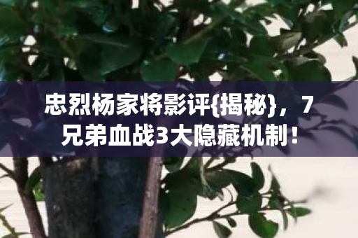 7兄弟血战3大隐藏机制图片
