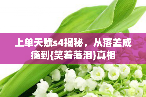 上单天赋s4揭秘图片