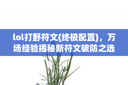 万场经验揭秘新符文破防之选图片