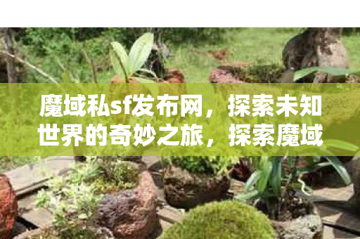 探索未知世界的奇妙之旅图片