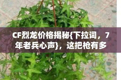 CF烈龙价格揭秘图片