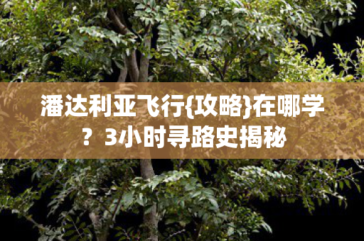 3小时寻路史揭秘图片