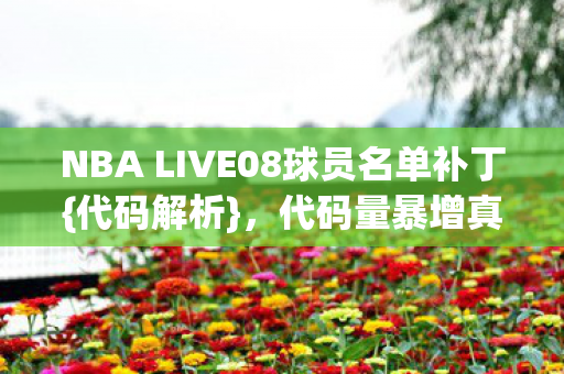 NBA LIVE08球员名单补丁图片