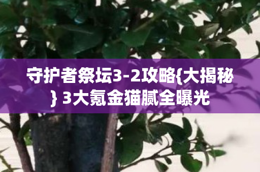 3大氪金猫腻全曝光图片