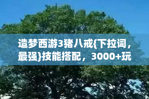 造梦西游3猪八戒图片
