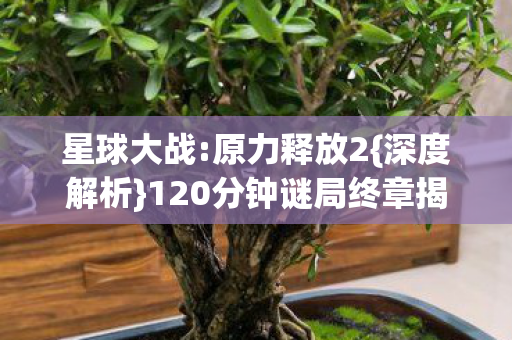 120分钟谜局终章揭秘图片