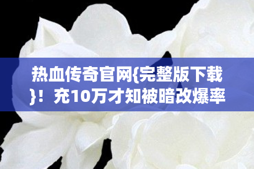 充10万才知被暗改爆率坑图片