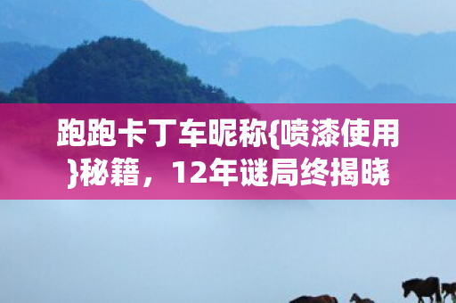 跑跑卡丁车昵称{喷漆使用}秘籍,12年谜局终揭晓 跑跑卡丁车昵称{喷漆使用}秘籍,12年谜局终揭晓