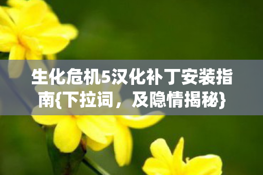 生化危机5汉化补丁安装指南{下拉词,及隐情揭秘} 生化危机5汉化补丁安装指南{下拉词,及隐情揭秘}