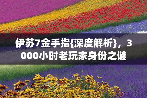 3000小时老玩家身份之谜图片