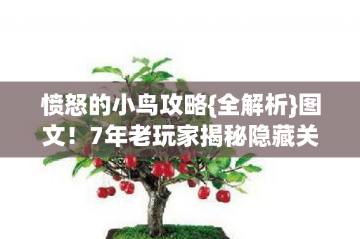 7年老玩家揭秘隐藏关卡图片