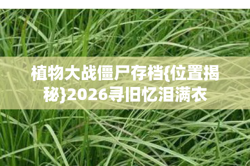 2026寻旧忆泪满衣图片