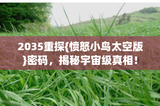 愤怒小鸟太空版图片