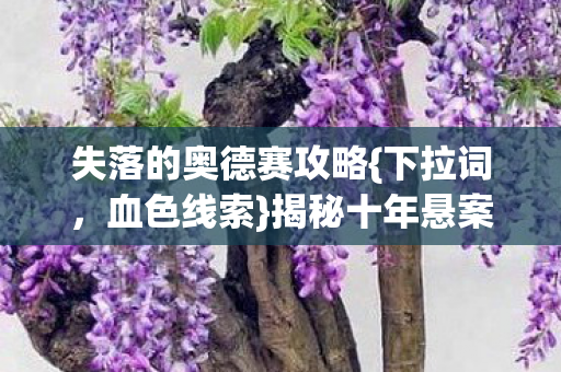 失落的奥德赛攻略图片