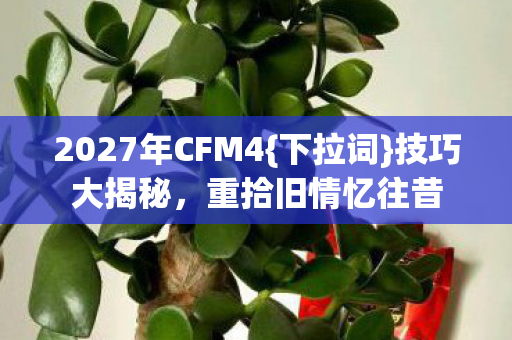 2027年CFM4图片