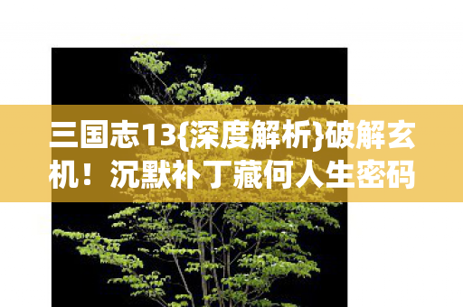 沉默补丁藏何人生密码图片