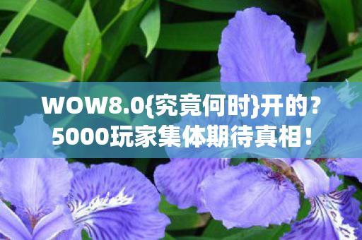 WOW8.0{究竟何时}开的?5000玩家集体期待真相! WOW8.0{究竟何时}开的?5000玩家集体期待真相!