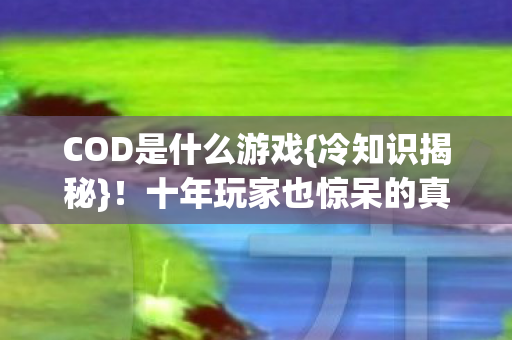 十年玩家也惊呆的真相图片