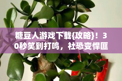 糖豆人游戏下载图片