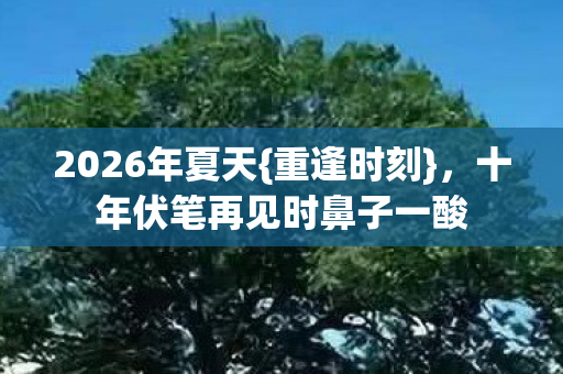 十年伏笔再见时鼻子一酸图片