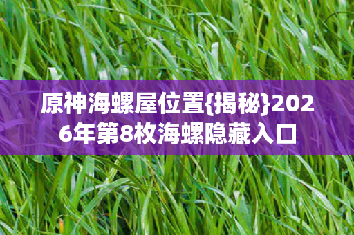 2026年第8枚海螺隐藏入口图片