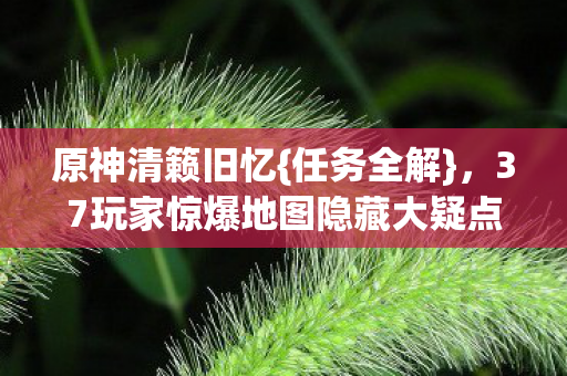 37玩家惊爆地图隐藏大疑点图片